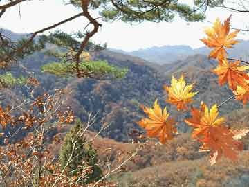 惠山区教育局最新项目，引领教育改革，助力学生全面发展