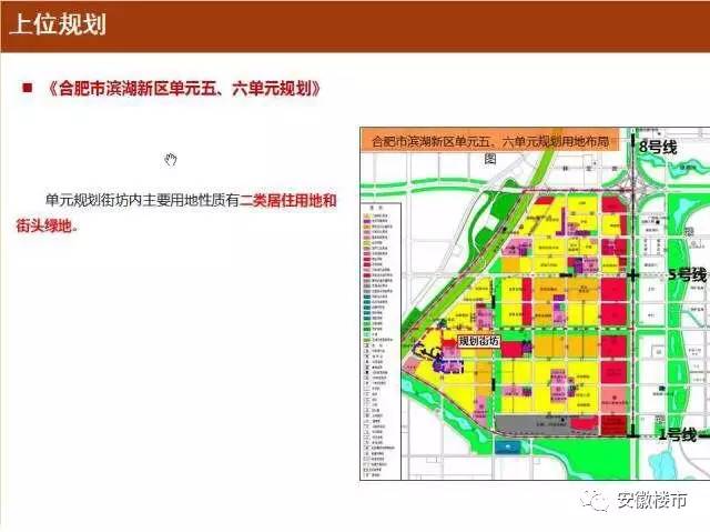 勐腊县小学最新发展规划，塑造未来教育的蓝图