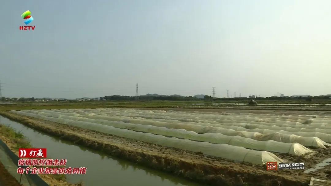 惠城区水利局，构建可持续水利体系，推动水生态文明建设新规划