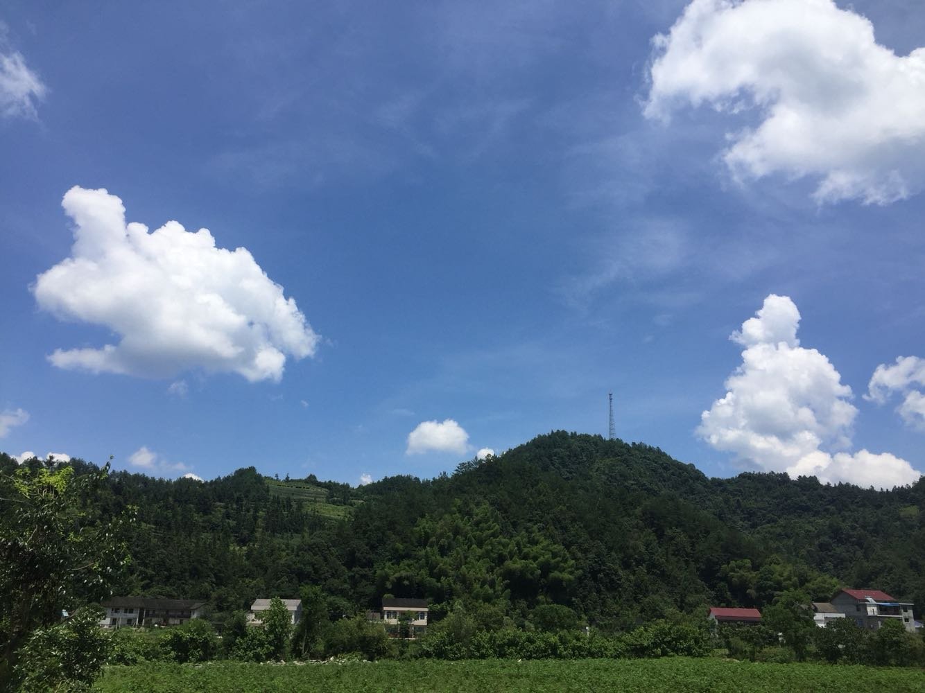 石门山镇天气预报更新通知