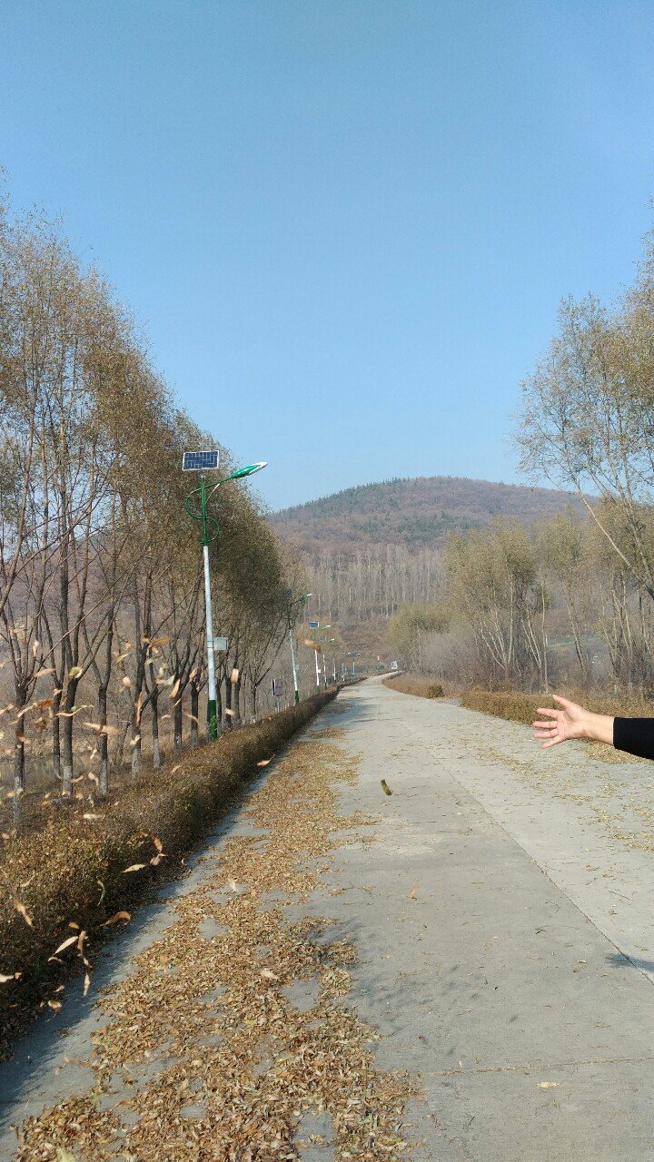 柴河林机厂街道天气预报更新通知