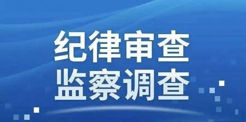 西区财政局领导团队焕新，引领财政事业腾飞新高度