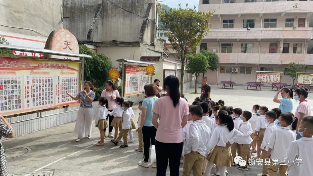 镇安县小学最新动态报道