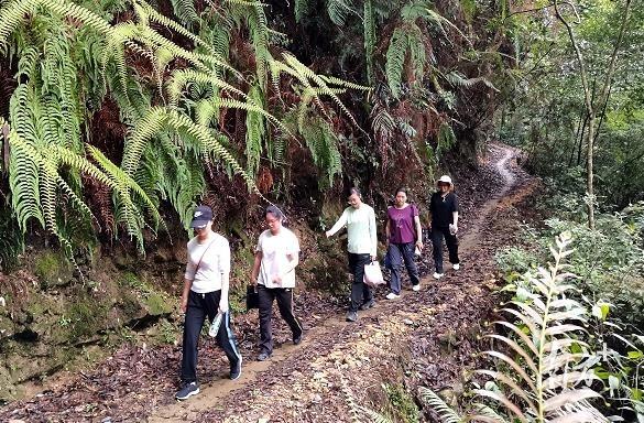 曲江区级托养福利事业单位最新动态报道