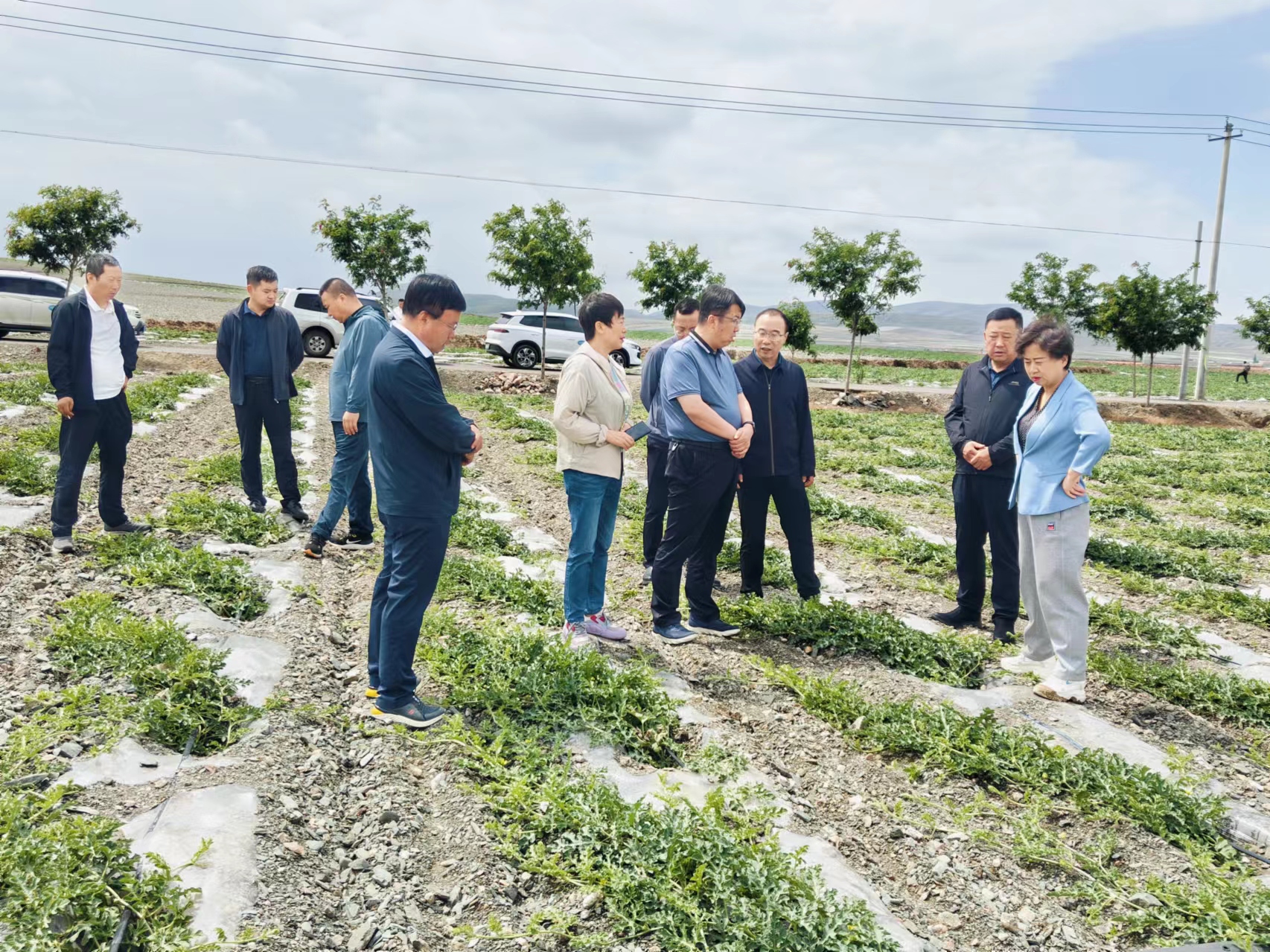 中卫市农业局最新动态报道