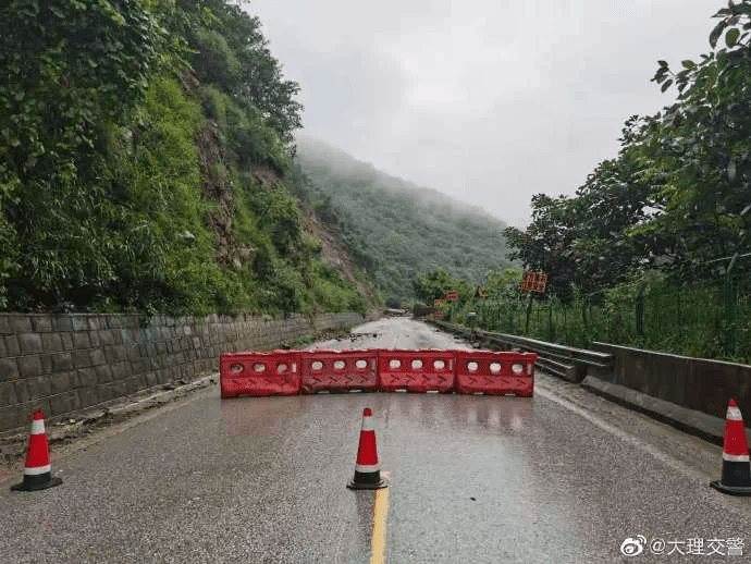 阳东林场最新交通动态报道