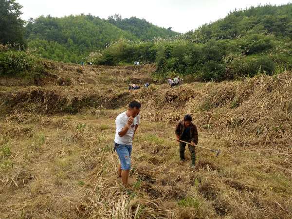 荒田最新项目重塑土地价值，推动可持续发展进程