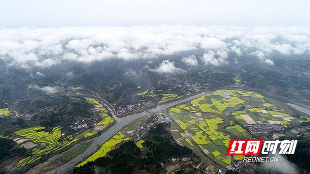 2025年1月20日 第10页