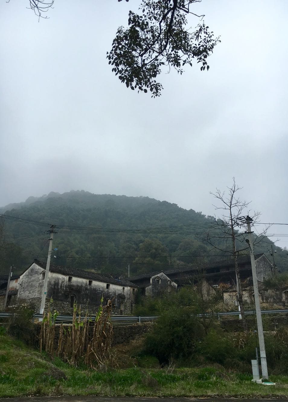 贡西村天气预报更新通知