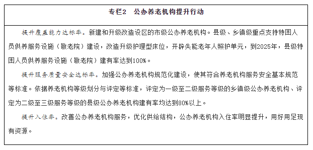 县级代养福利事业单位发展规划蓝图，未来战略构想与展望